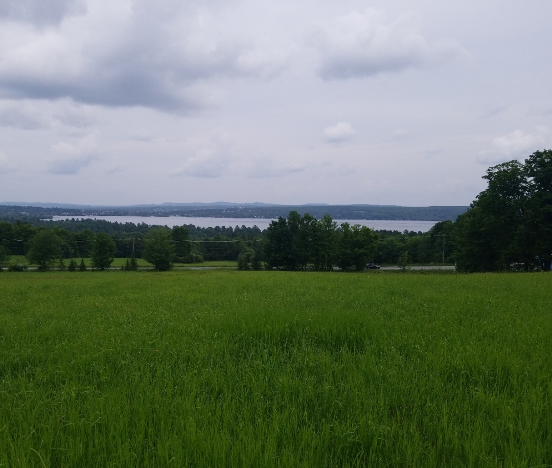 Goodwin Protected Area